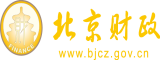 大B操北京市财政局