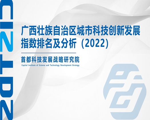 操国产女人小屄视频【成果发布】广西壮族自治区城市科技创新发展指数排名及分析（2022）